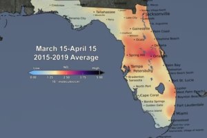 pollution in Florida
