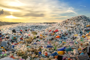 plastic pollution in Florida