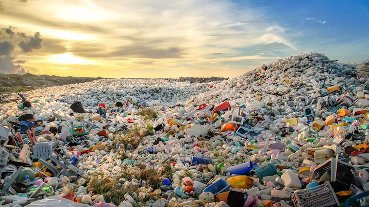 plastic pollution in Florida